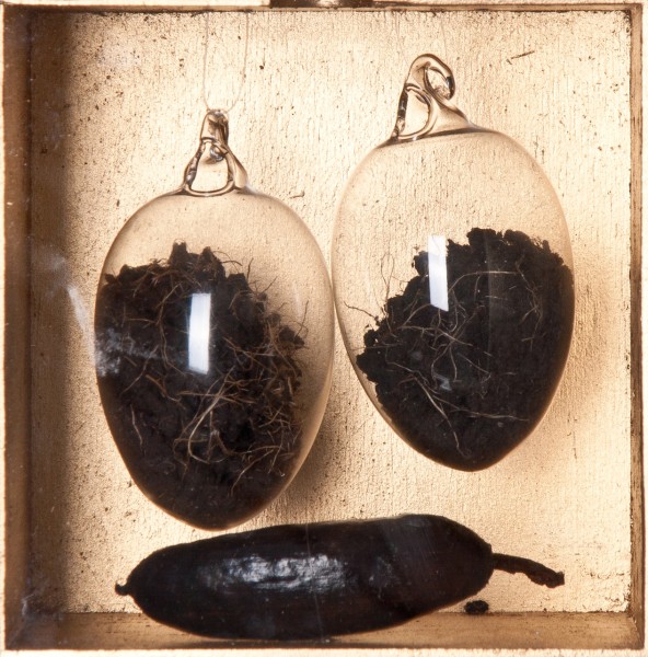 "Metamorfosis"
Orito preparado,pigmentos de c�scara de banano en huevos de vidrio.
2012-2013